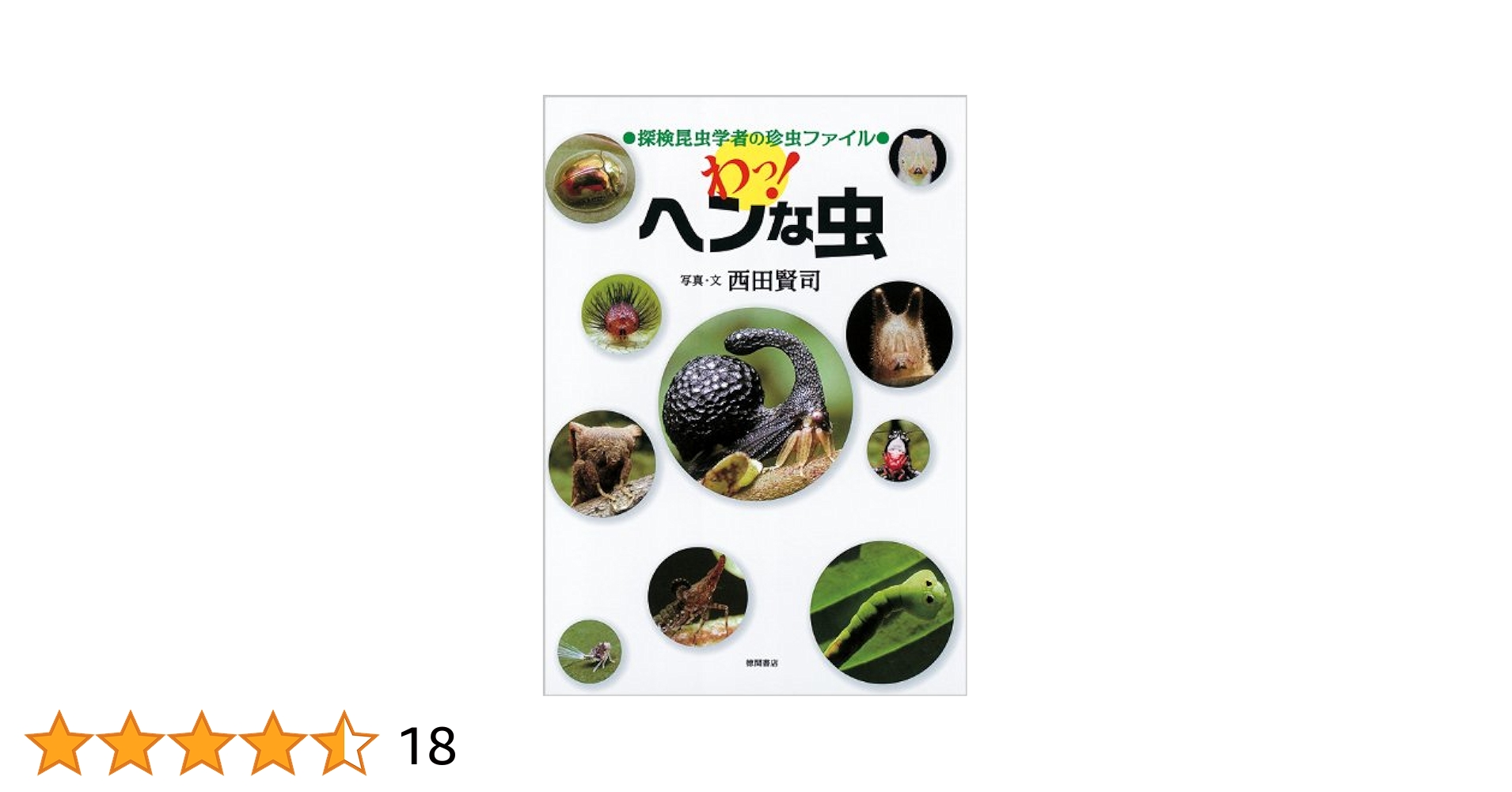 縄文土器　小動物？昆虫？珍品　箱付き　R99-2 縄文土器 小動物？昆虫？珍品 箱付き R99-2